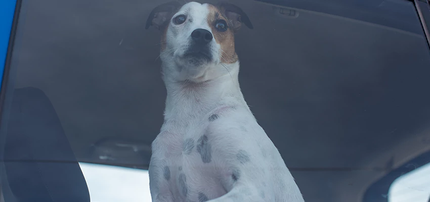 Car Lockout Solutions in Temple City, California